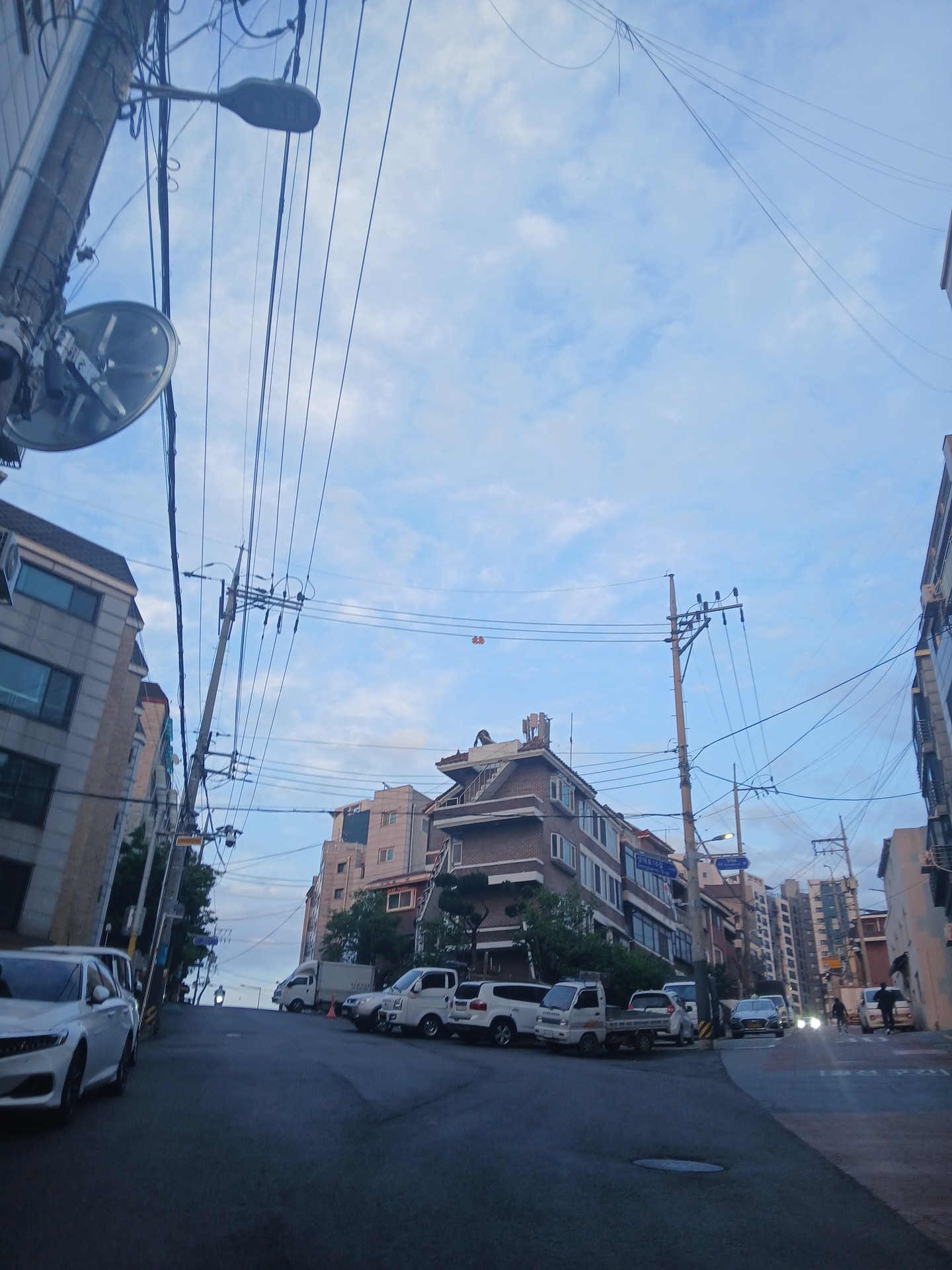 초보의 사진 모음집 (1)