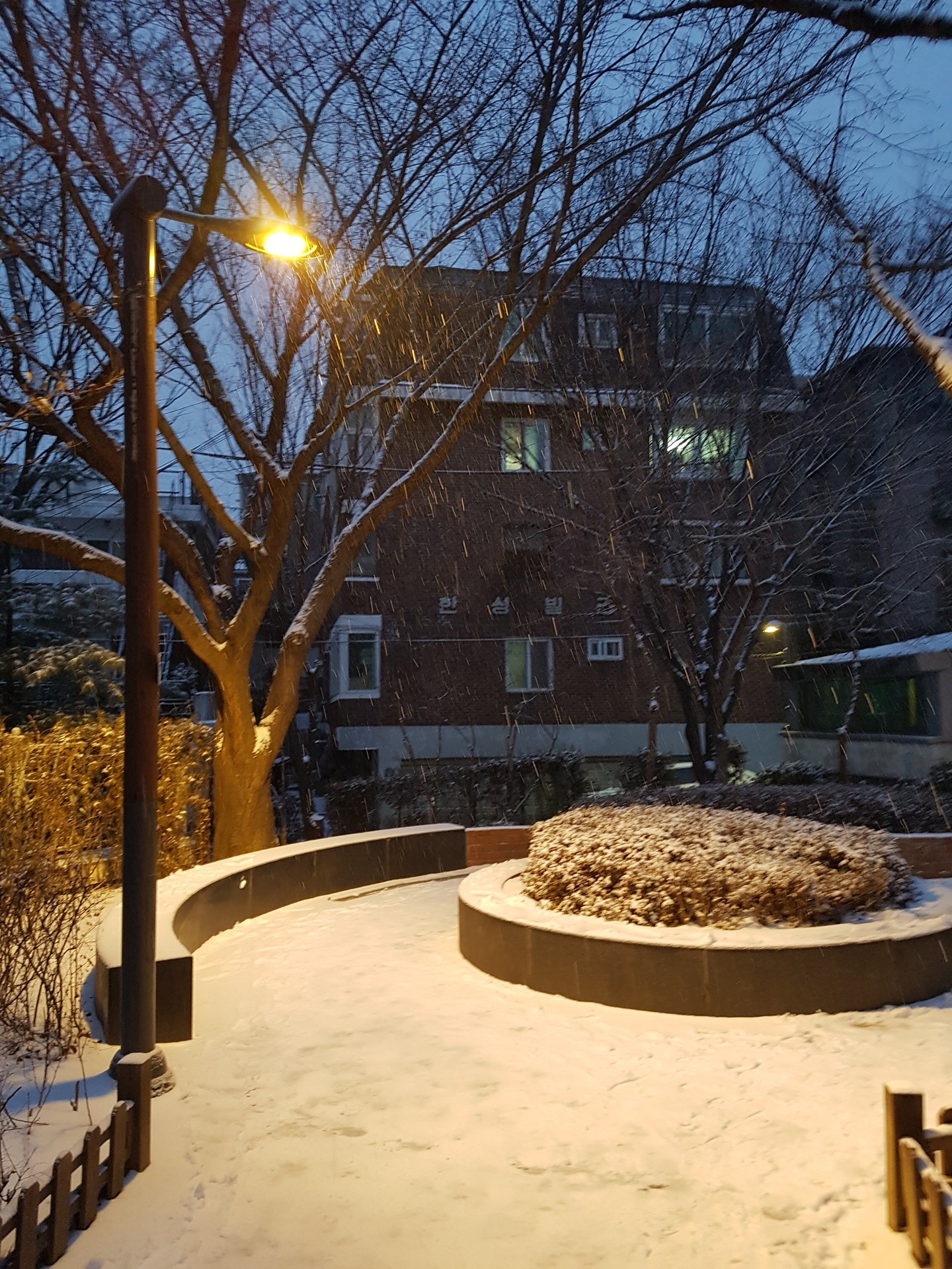 초보의 사진 모음집 (1)