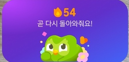 나듀오링고59일차