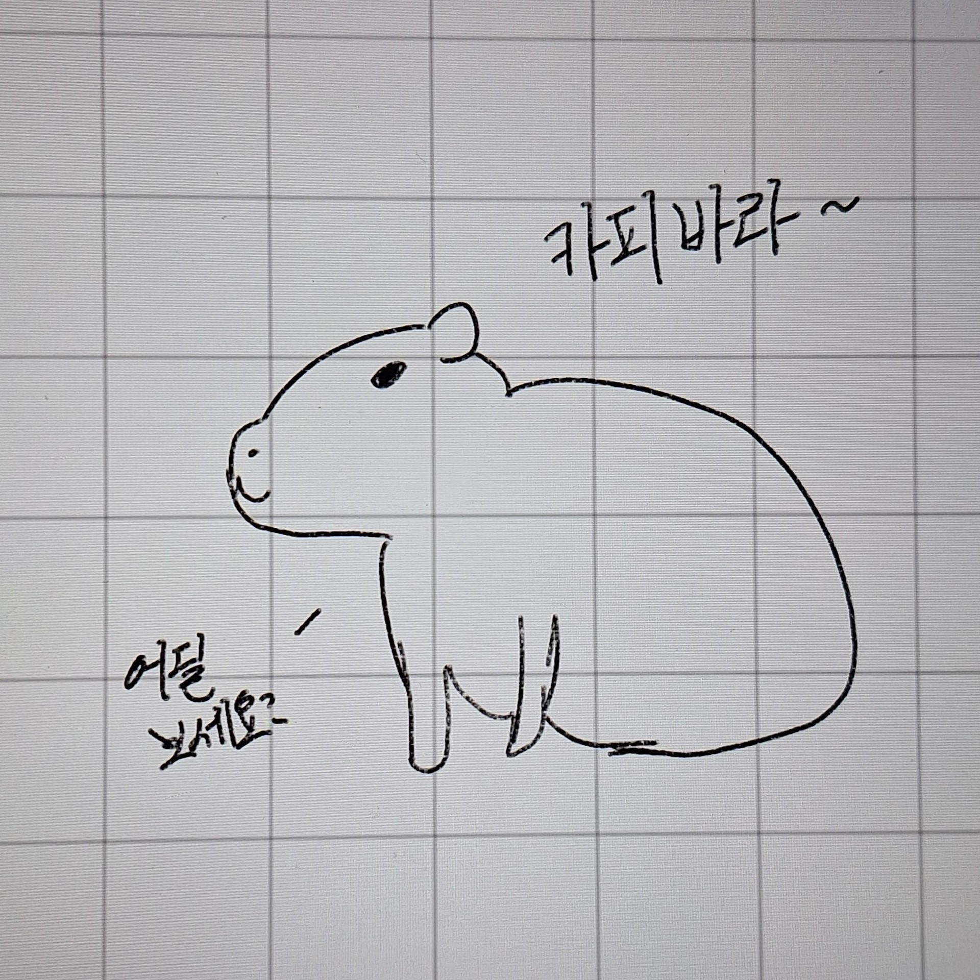 뭘 보세요