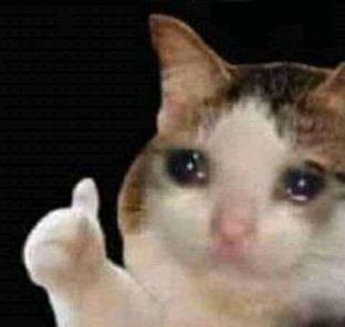 오키 요즘에 볼 거 없었는데 잘 됐넹