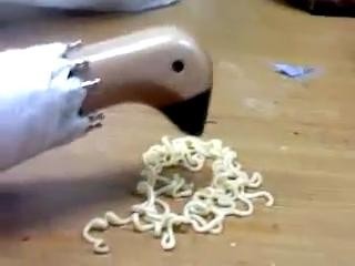 구구구구구구수수숫수구구구구구구구구ㅜ구국