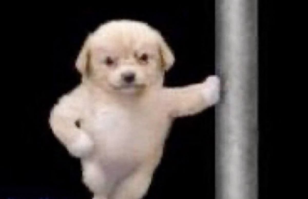 저는 사실만 말하는 사람입니다.