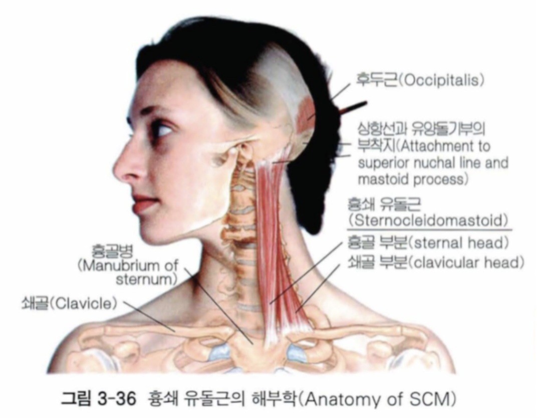 이거임 
그래도 초6인데 잘그렸어 화이팅!