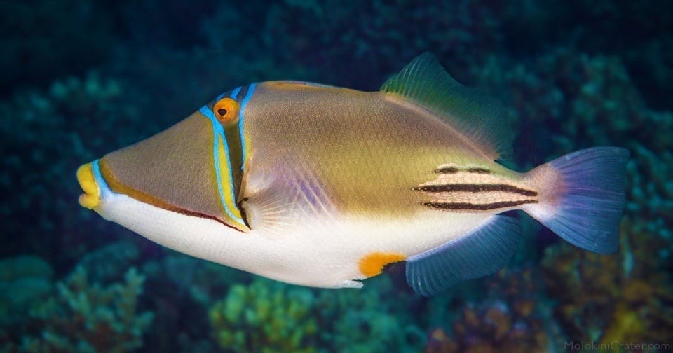 얘 보면서 감탄중