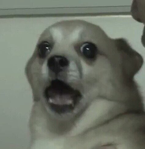 예..? 아니 왜 제꺼 안 남겼어요. 너무해,,ㅋㅋㅋ