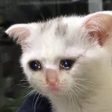 오늘 내 세상이 무너졌어..