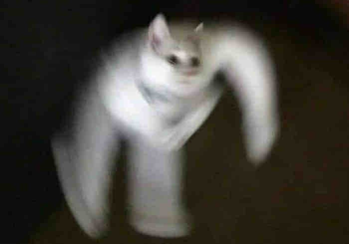 칭찬에 어깨춤이 절로..❤️