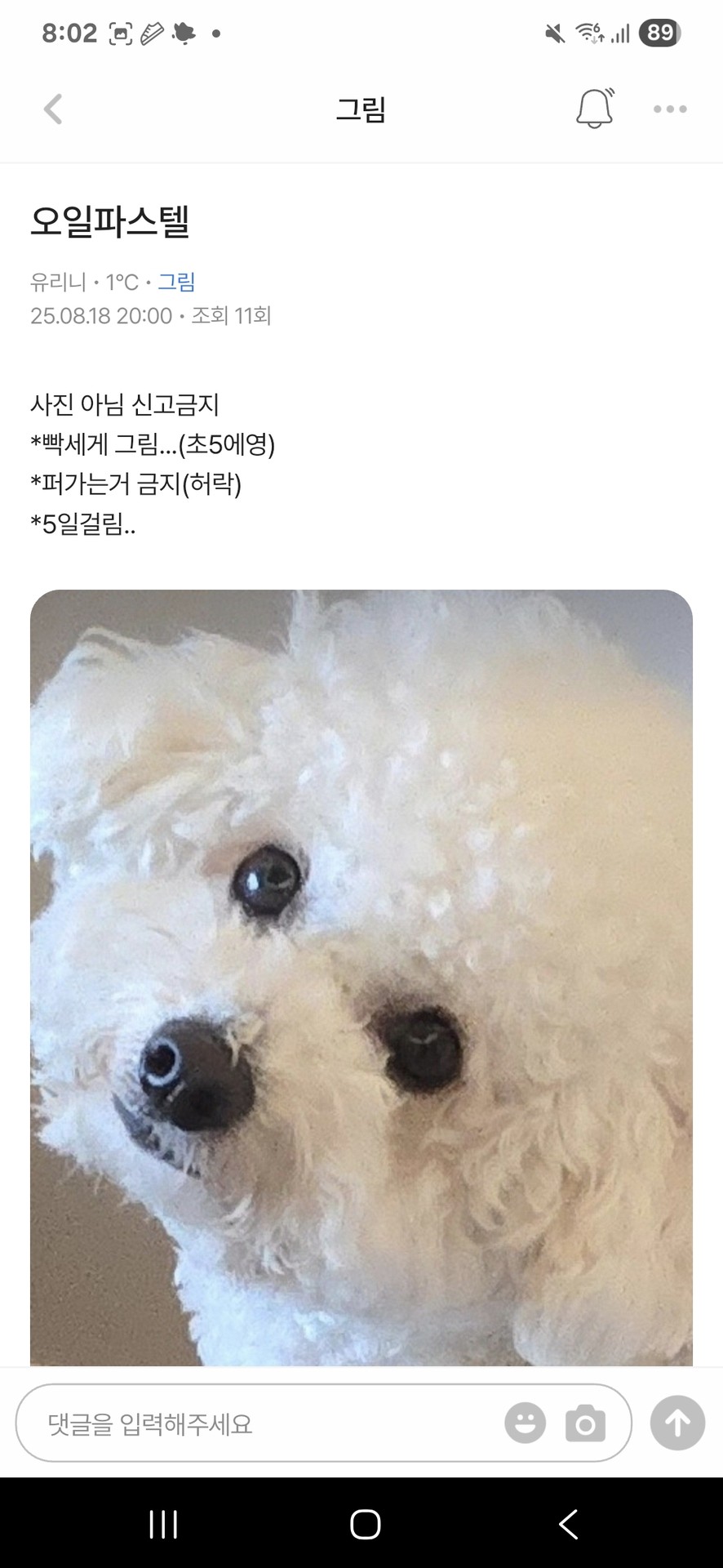 너가 이글로 거짓말 쳐서 아무도 안믿어 주는거야