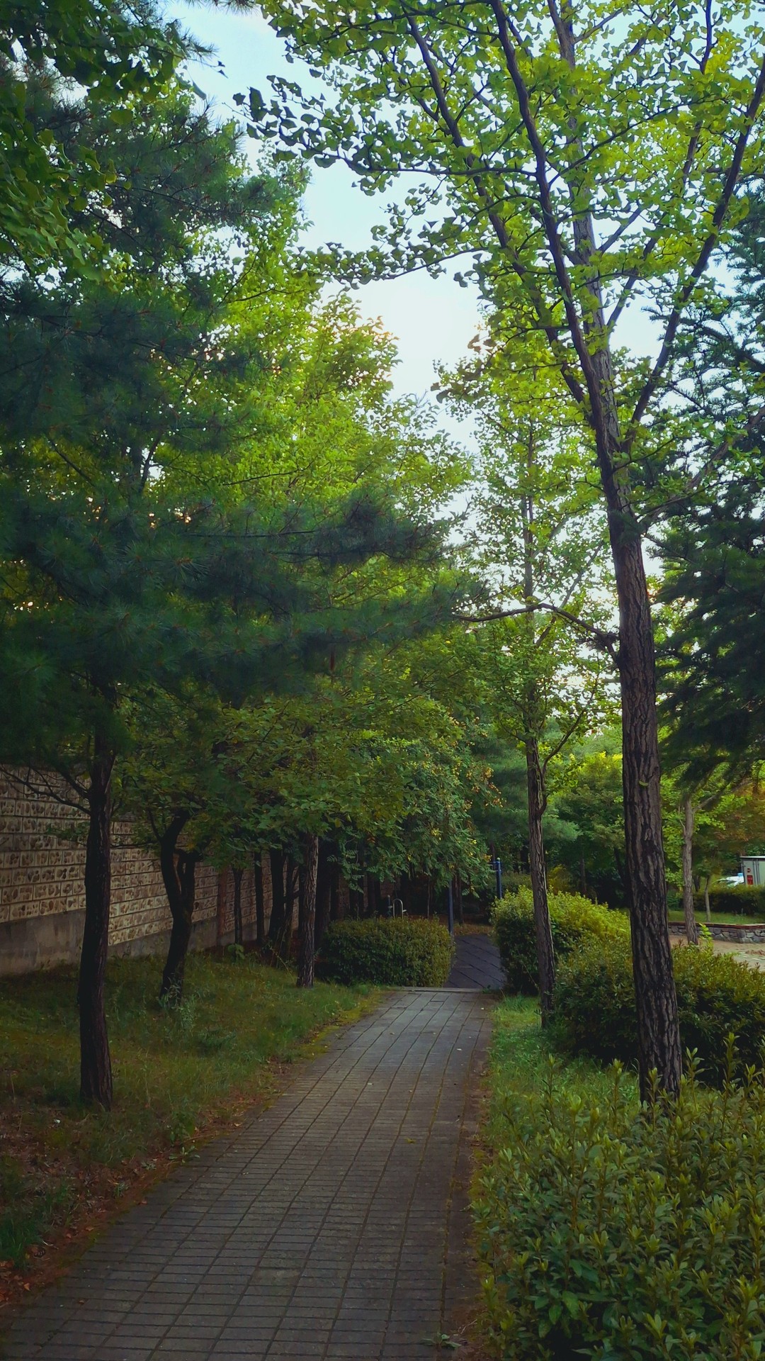 일단 완성했엉! 신청해줘서 고마워어