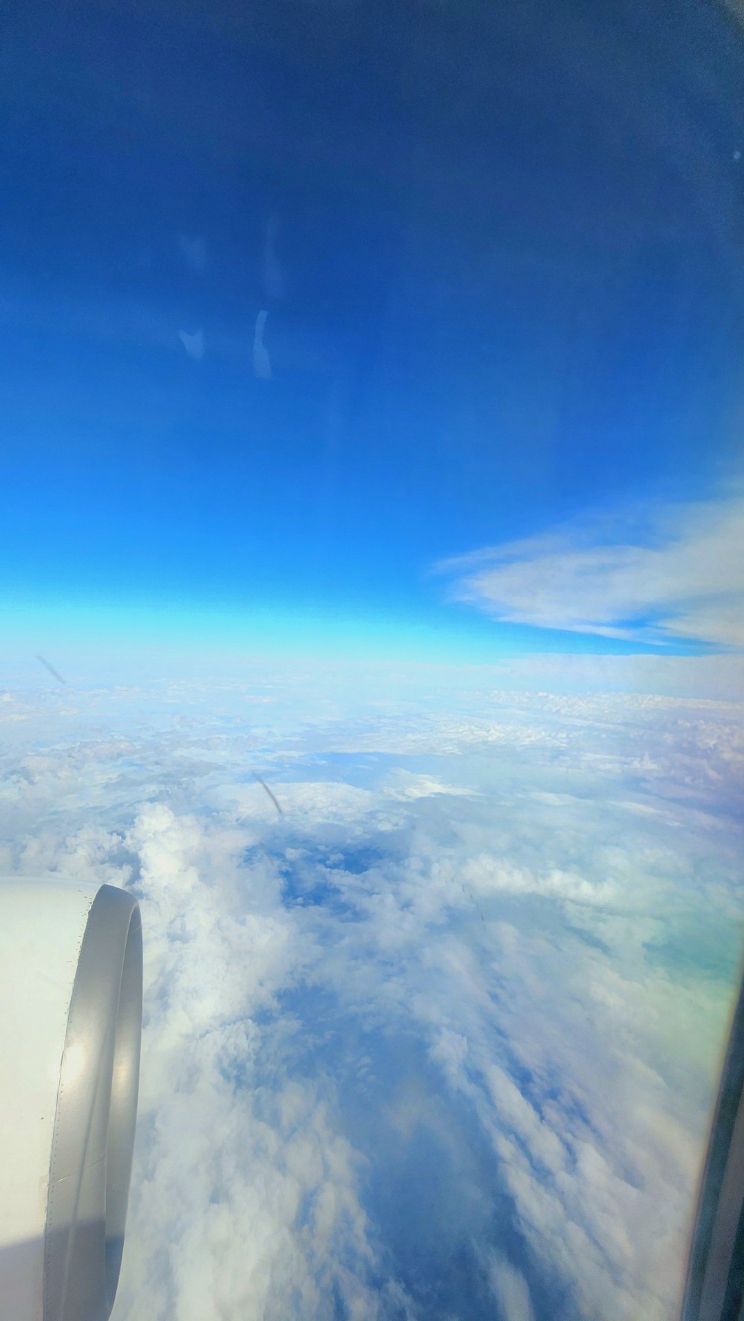 신청해줘서 고마워!