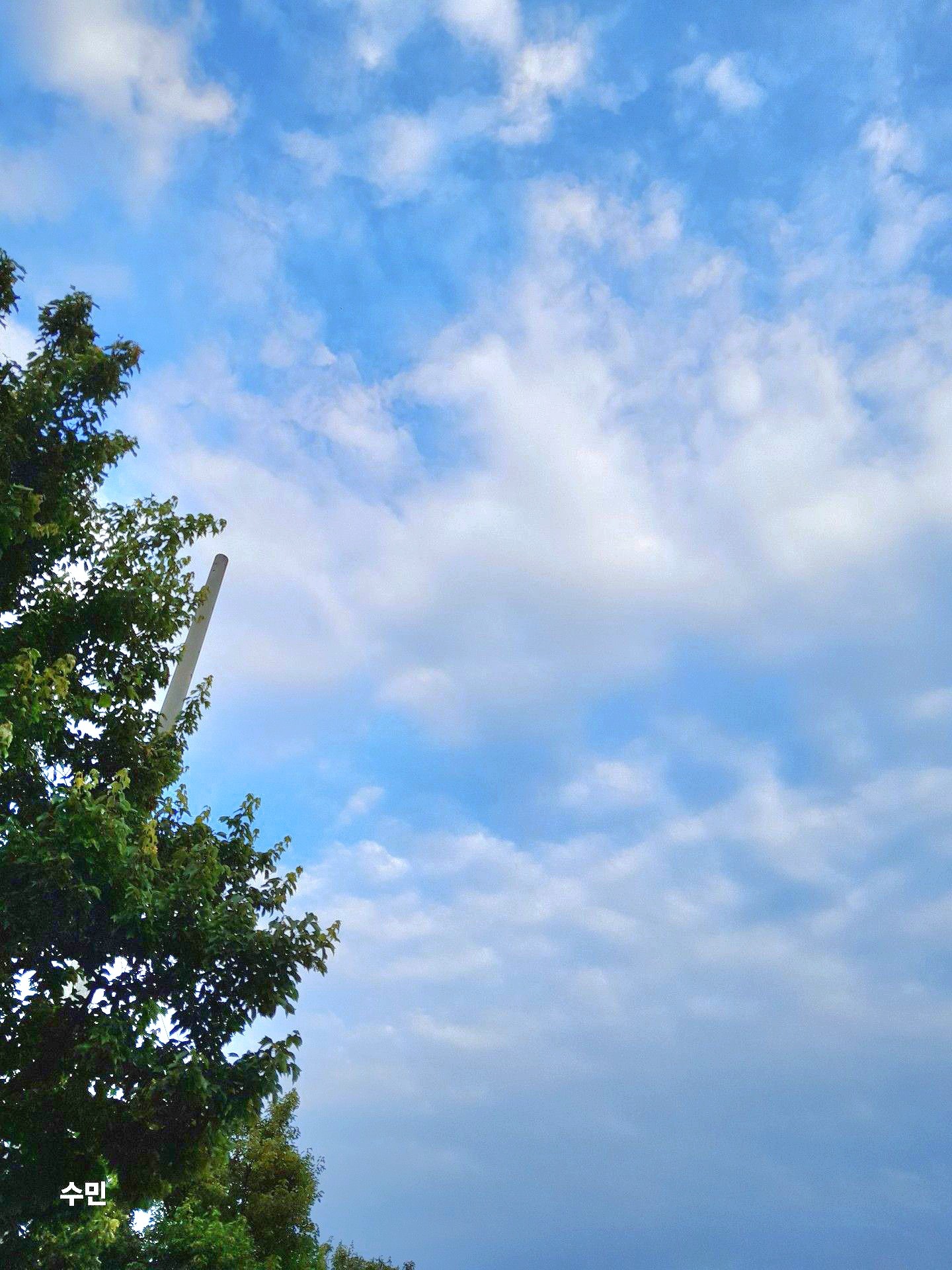 아까 전화가 와서 조금 늦었어 미아내,,ㅜㅠ 그래두 신청 정말고마워!!
