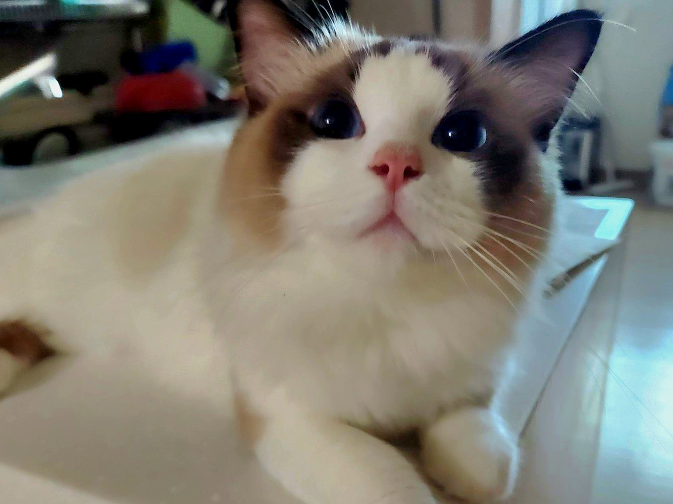 신청 감사합니다아!