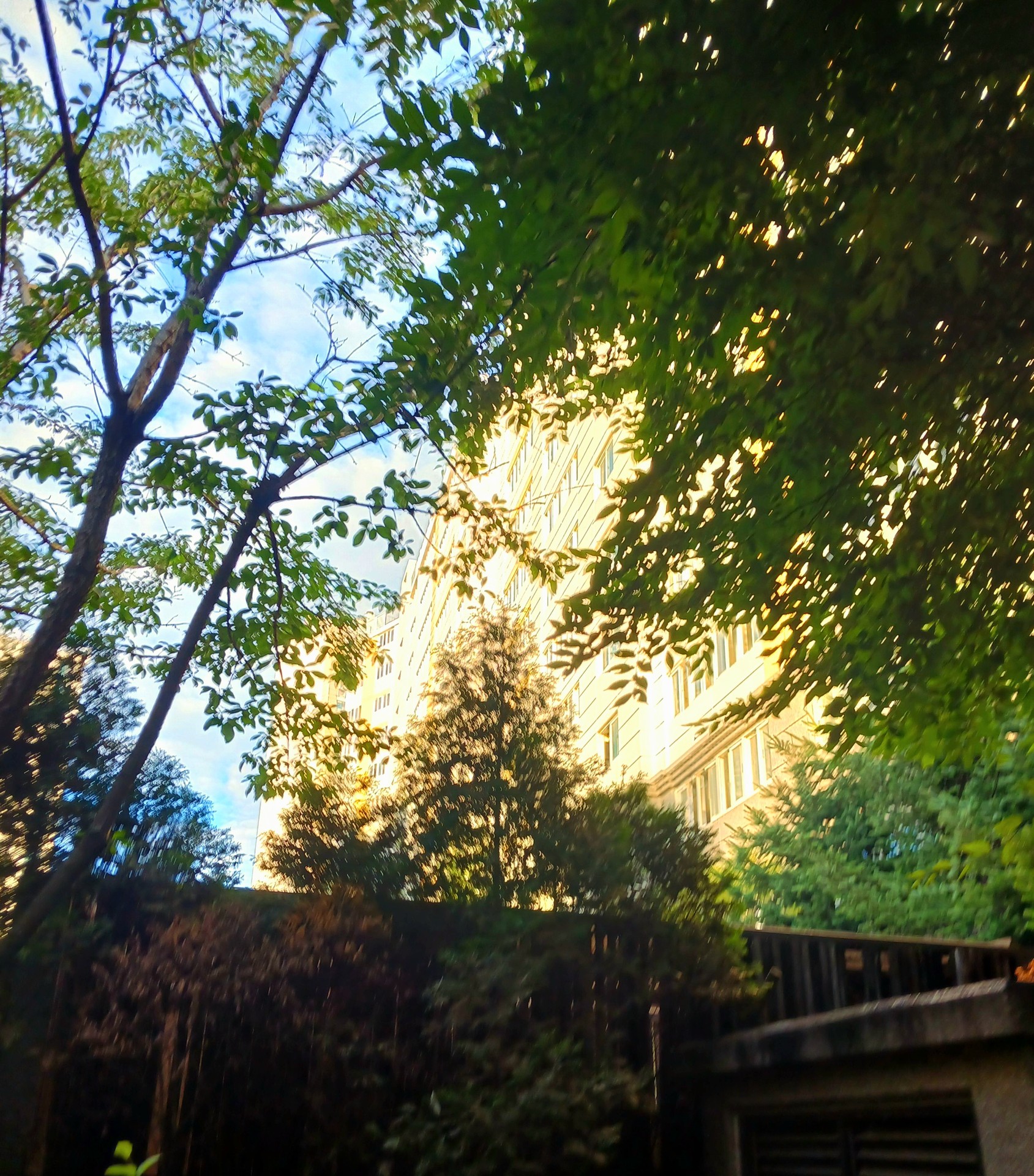 자! 사진 예쁘더라 신청고마워어!