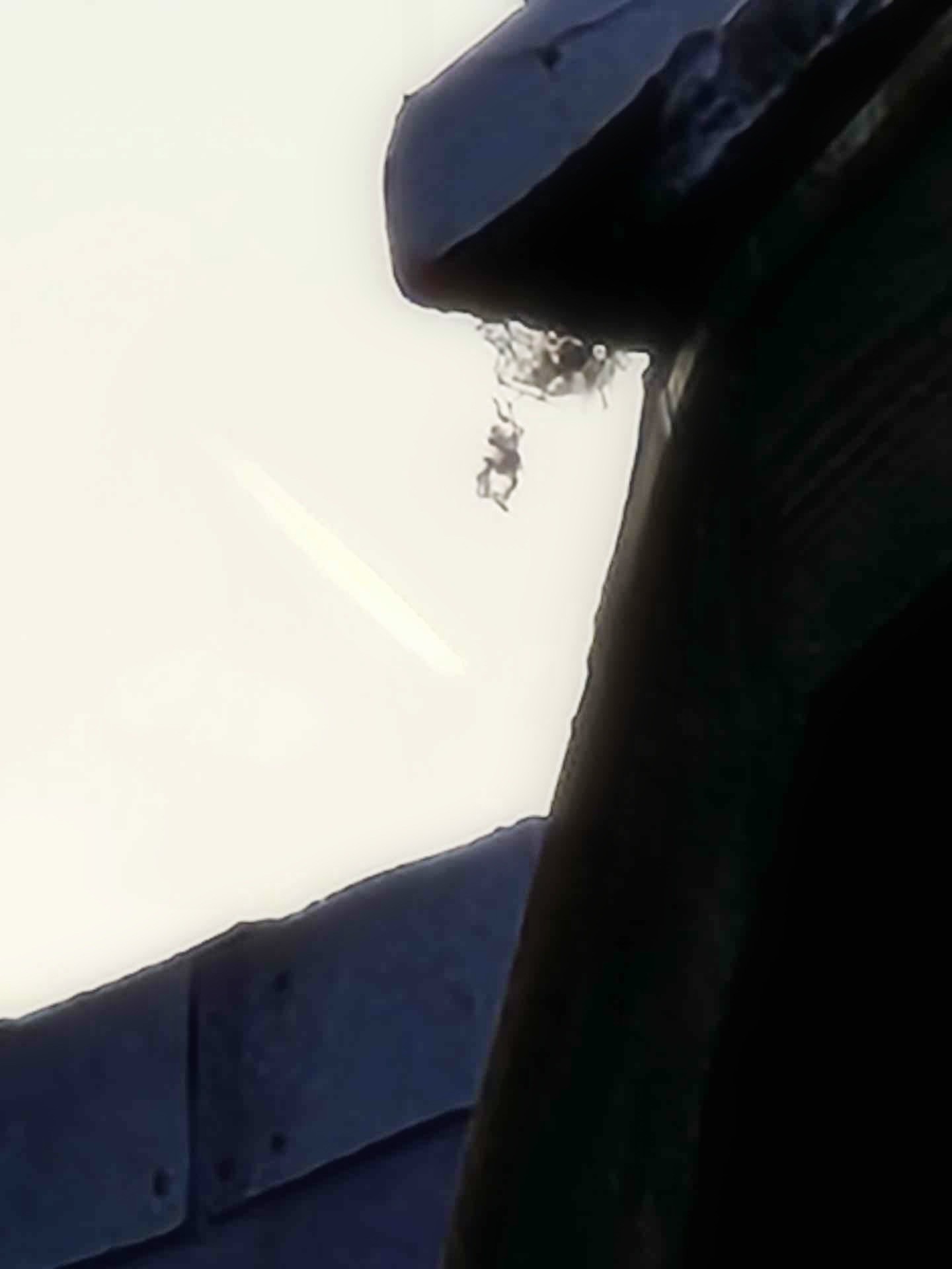 무엇을 찍으신건지는 모르겠는데 원본이 어느정도 되야 결과물도 우수하답니다