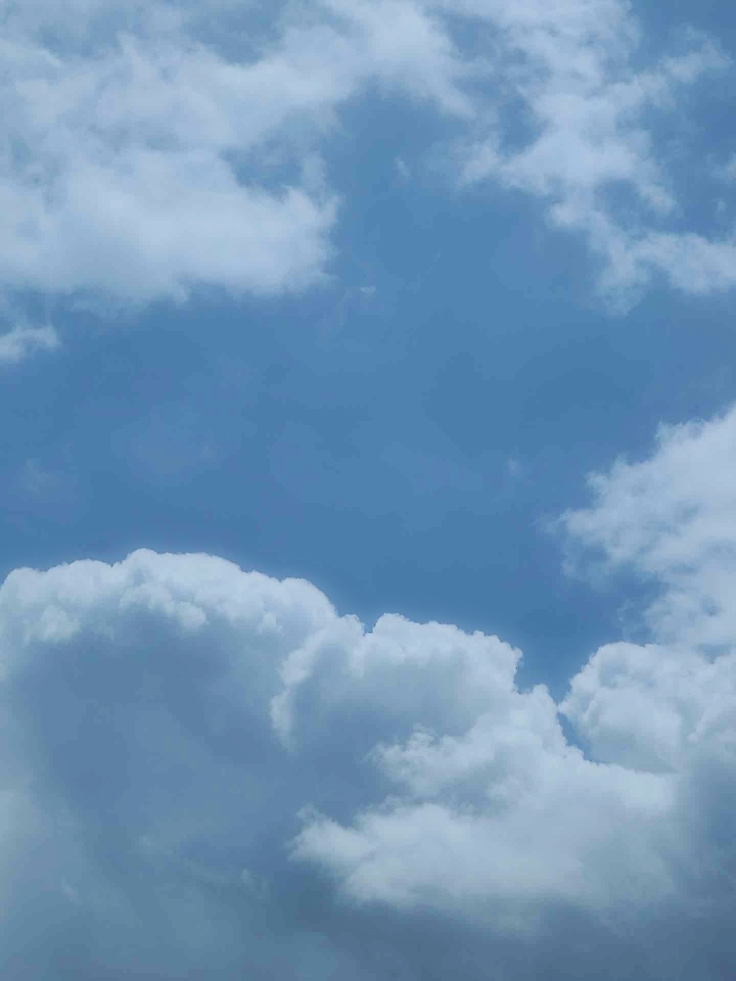 푸른 느낌이 강해서 살짝 건드렸어요