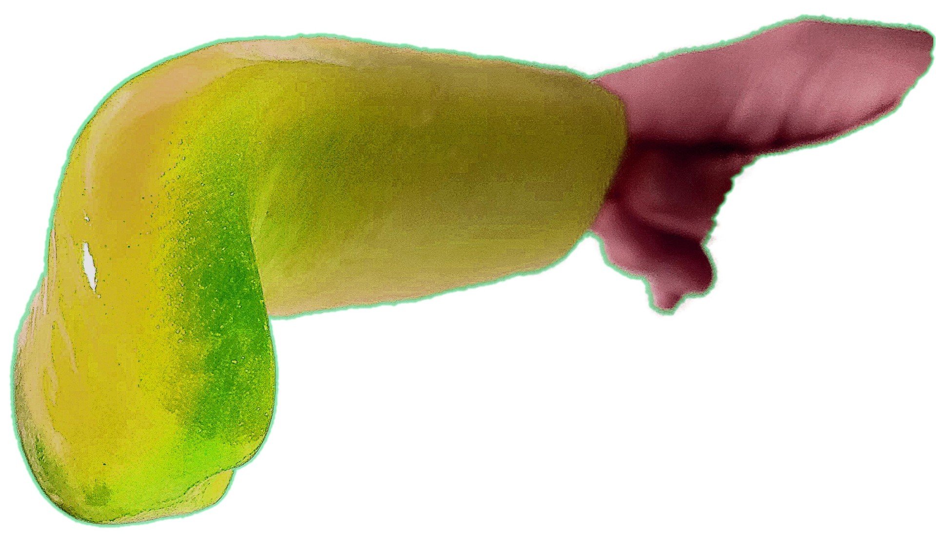 뭔진 모르겠지만 일단 먹으면 위험할 것 같긴 해