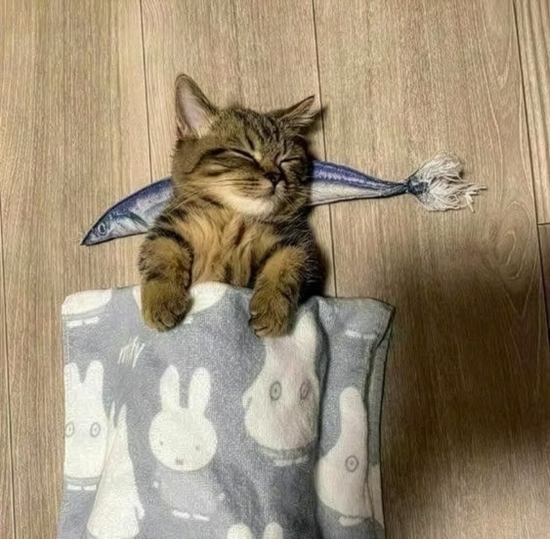 나름 해봤는데 맘에 들진 모르겠다요 😖