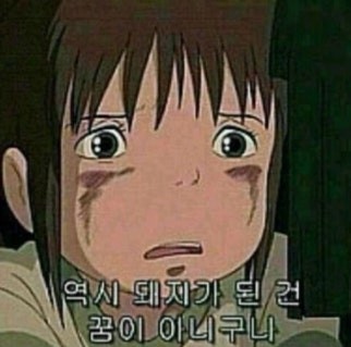 ㅋㅋㅋㅋㅋㅋㅋㅋㅋㅋㅋㅋㅋ